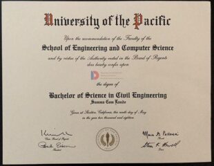 img 20251004 wa0087